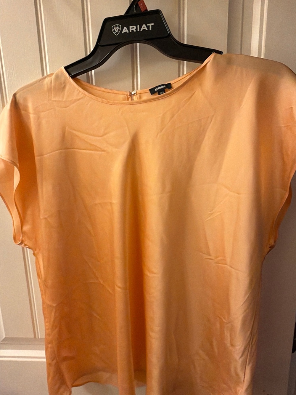 Express Light Peach Short-Sleeve Satin Blouse